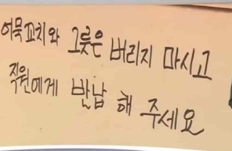 댓글 투기장 열린 어묵 꼬치 재활용