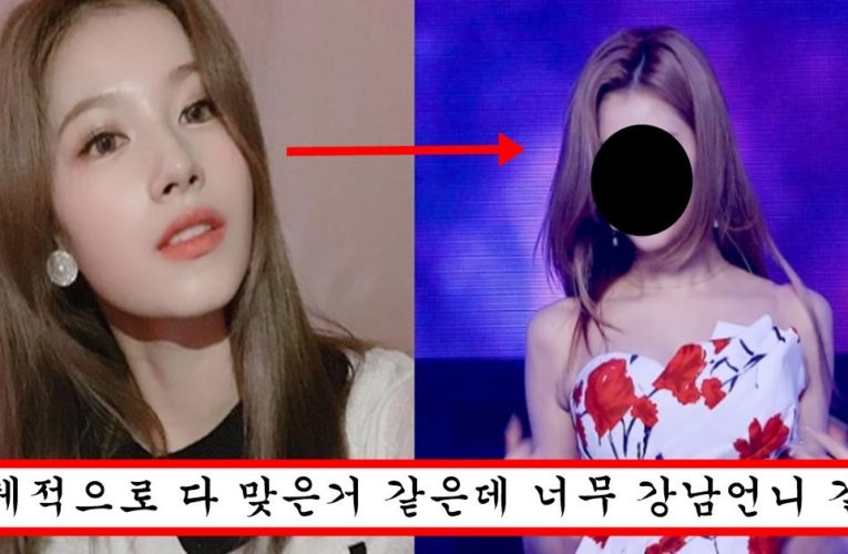 입술 필러 맞아서 점점 성괴로 가고 있다는 사나 최근 충격적인 얼굴 상태