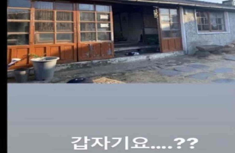 다시 보니 소름돋는 작년 아옳이 인스타 스토리