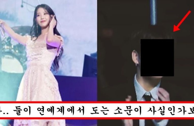 열애설 뜰까봐 아무도 모르게 아이유 콘서트 갔는데 결국 걸려버렸다는 방탄 맴버