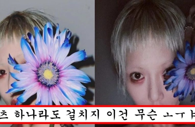 던이랑 사귀고 스트레스 많이 받았는지 위태해보인다는 현아가 인스타에 올린 과감한 사진 수준
