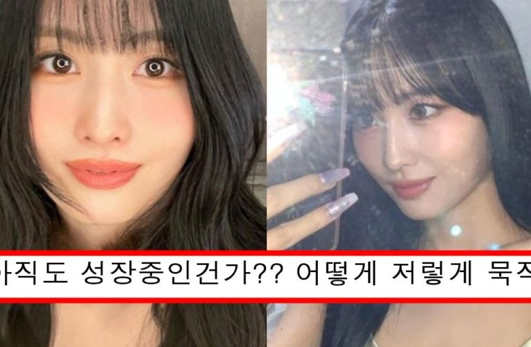 김희철이 보고 헤어진거 후회된다고 까지 했던 최근 더 묵직해져버린 모모 몸매 레전드 ㅗㅜㅑ