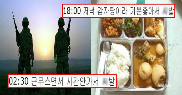 군대에서 하루에 욕을 외치는 횟수